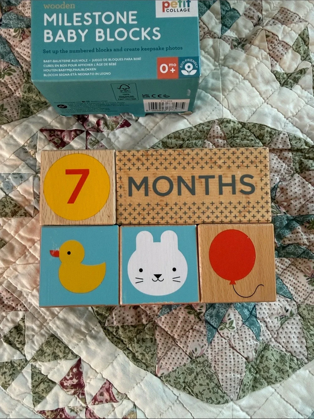 Milestone Baby Blocks